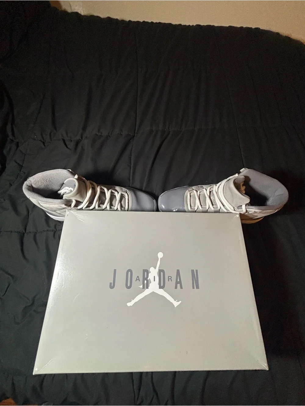 Jordan Retro Low Sneakers in Cool Grey and White Size 10 2021 w/ OG box